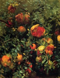 Pomegranates Majorca 1908  Pomegranates Majorca 1908