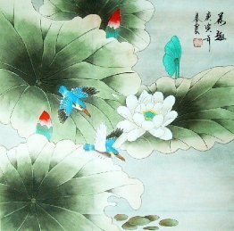 Lotus&Birds - Chinese Painting