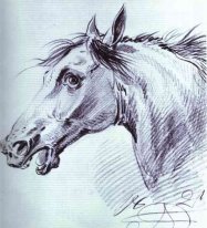 Head of a Horse