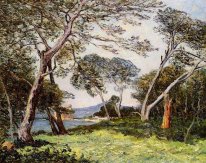 The Pines Of The Ile St Morah 1912