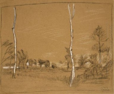 Paysage avec des arbres de bouleau