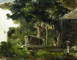 landscape with house in the woods in saint thomas antilles