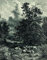 Herd Of Sheep On The Forest Edge