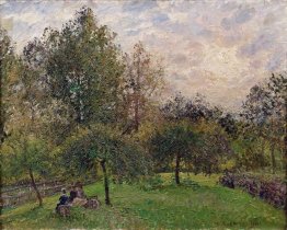 apple trees and poplars in the setting sun 1901