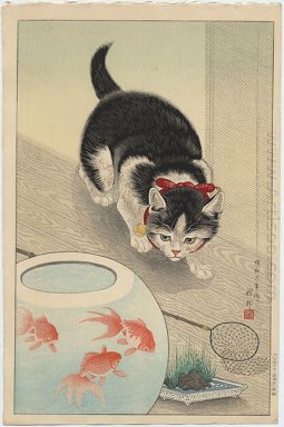 Chat et bocal de poissons rouges