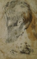 Two Studies of the Head of a Bearded Man