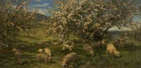 Apel Blossoms di atas Wye