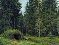 Forest Hut 1892