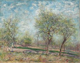 apple trees in bloom 1880