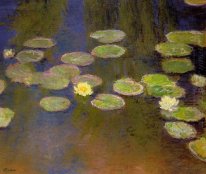 Water Lilies 1899 2