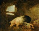 Porcs dans une porcherie