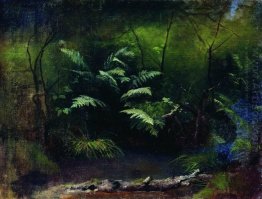 Ferns By The Water 1895