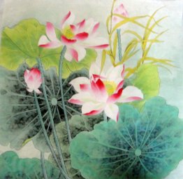 Lotus - Chinese Painting