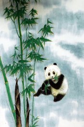 Panda - Chinese Painting