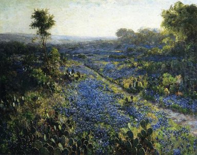 Field of Texas Bluebonnets und Feigenkakteen