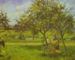 the wheelbarrow orchard