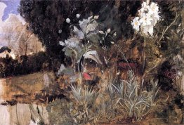 Flower Sketch For The Enchanted Garden 1916