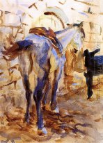 Saddle Horse, Palestine