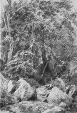 Les arbres près d\'un ruisseau sur le mont Castel 1879