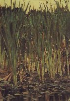 Carex 1880