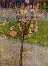 Almond Tree In Blossom 1888 Almond Tree In Blossom 1888