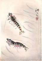 Two Prawns