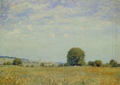 fields at saint cloud