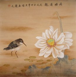 Lotus - Chinese Painting