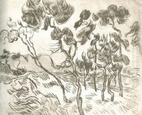 Sekelompok Pine Trees Dekat Rumah 1889