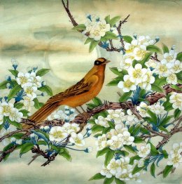 Pear & Birds - la pintura china