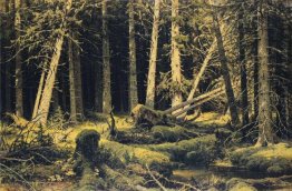 Wind Fallen Trees 1888