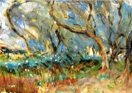 Landscape 1909 Corfu