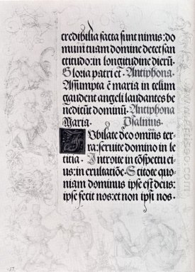 страницы маргинальных рисунков для императора Максимилиана с мол