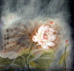 Lotus - Chinese Painting