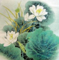 Lotus - Chinese Painting