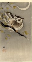 Owl Di Ginkgo Cabang (Scops Owl Bawah Bulan Sabit)