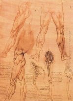 Studi di gambe di un uomo e la gamba di un cavallo