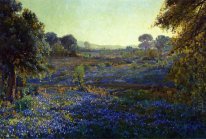 Bluebonnets в конце дня, возле La Grange