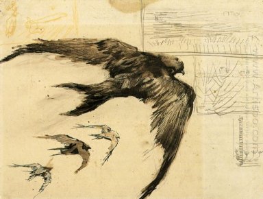 Vier Swifts mit Landscape Skizzen 1887