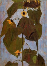 sunflower 1908