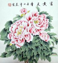 Peony - Chinese Painting