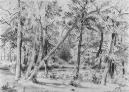 Forest 1869