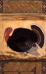 A turkey-cock brought to Jahangir from Goa in 1612