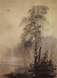 pines on the shores of lake 1890