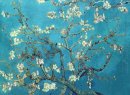 Branches avec Almond Blossom 1890