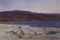 Dead Sea 1882