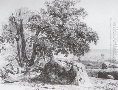 Quercia Sulla Riva del Golfo di Finlandia 1857