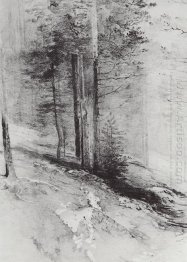 forest 1877 forest 1877