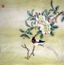 Birds&Flowers - Chinese Painting