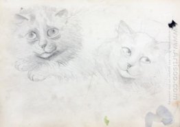 SKETCHES OF BURMESE CATS